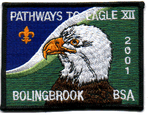 Pathways to Eagle patch from 2001