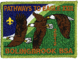Pathways to Eagle patch for 2012